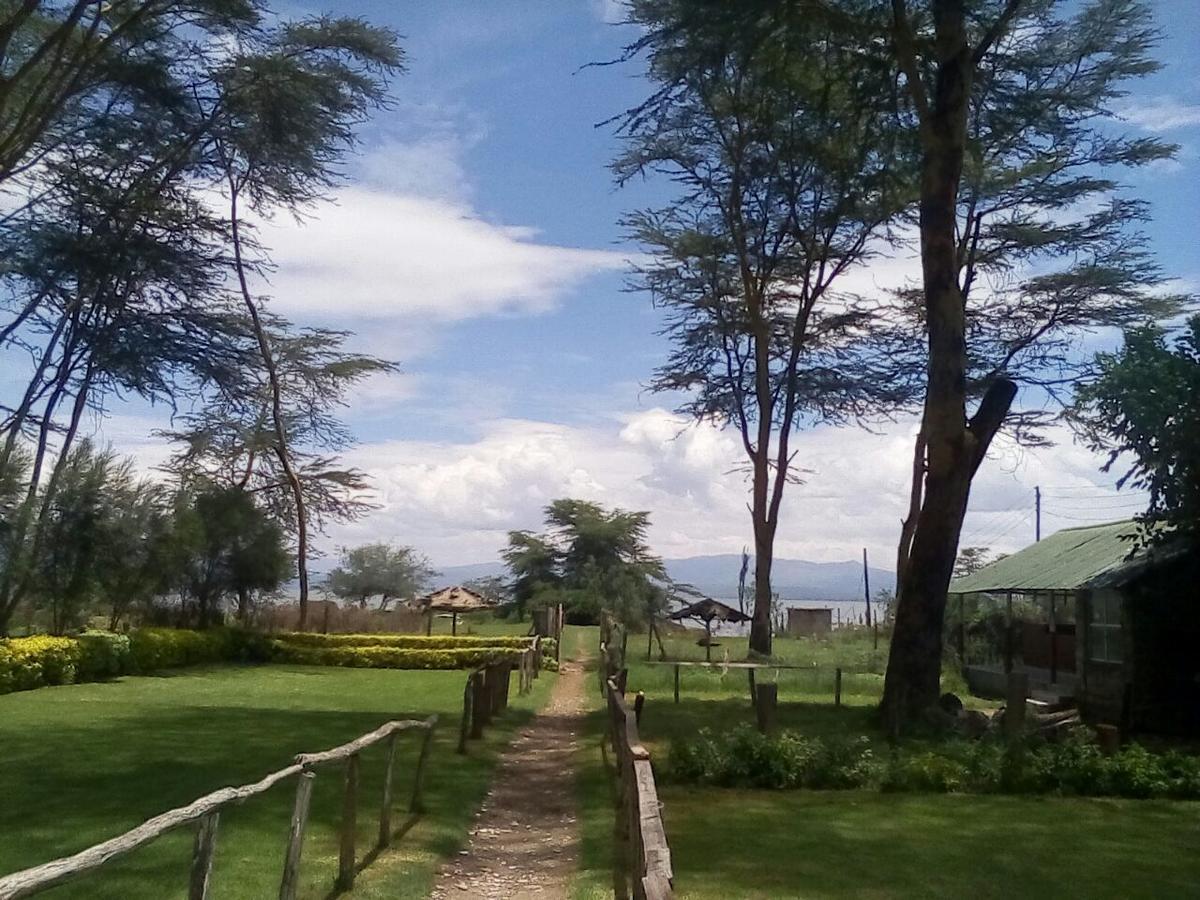 Hippo Safaris Resort Naivasha Exterior photo