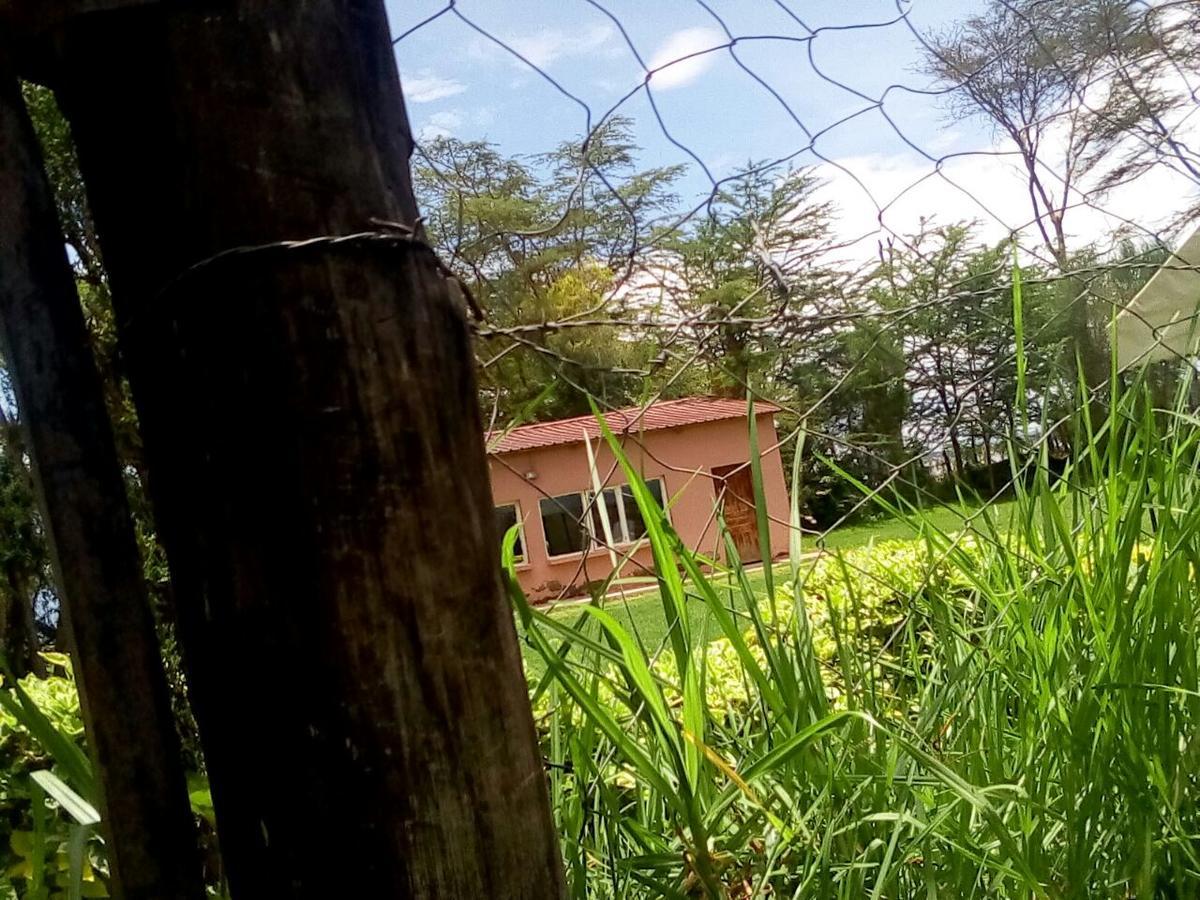 Hippo Safaris Resort Naivasha Exterior photo